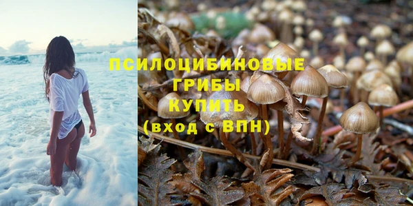 СК Балахна