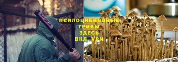 СК Балахна